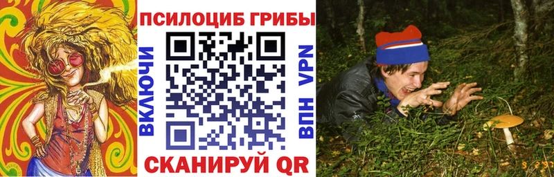 Галлюциногенные грибы Psilocybe  Купить  Буинск 